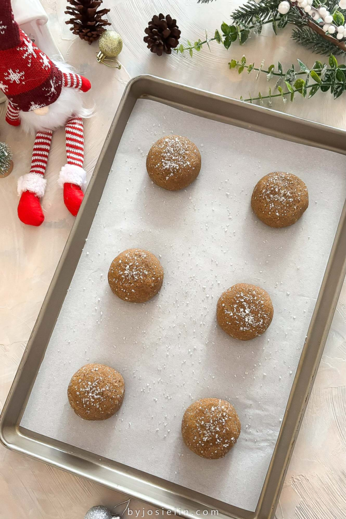 Gingersnap Cookie Dough