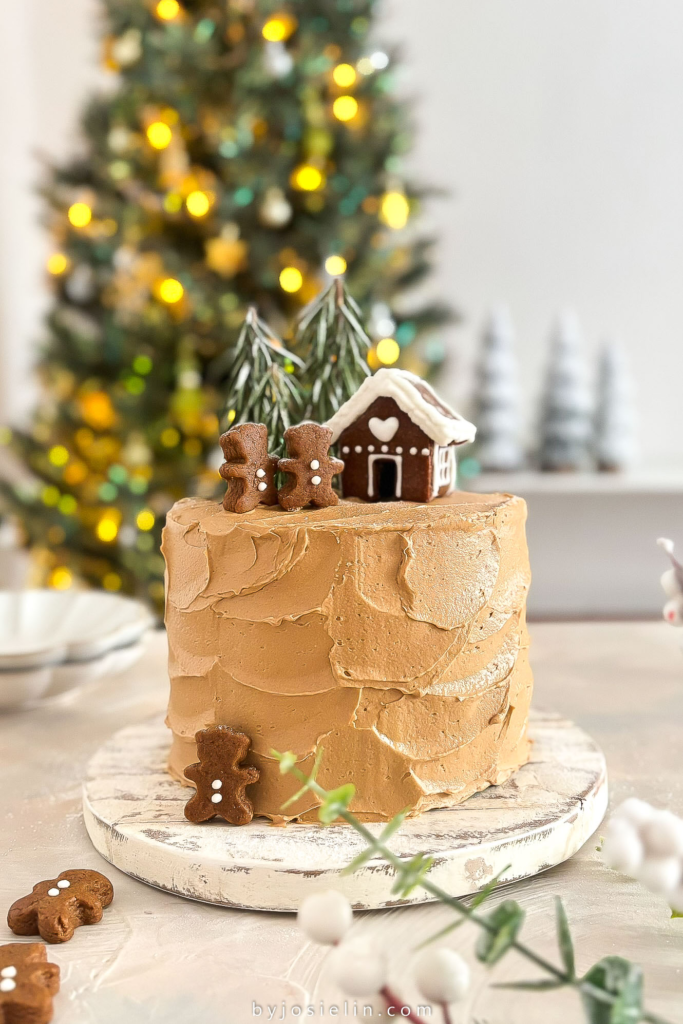 Mocha Gingerbread Cake