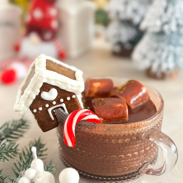 Peppermint Hot Chocolate