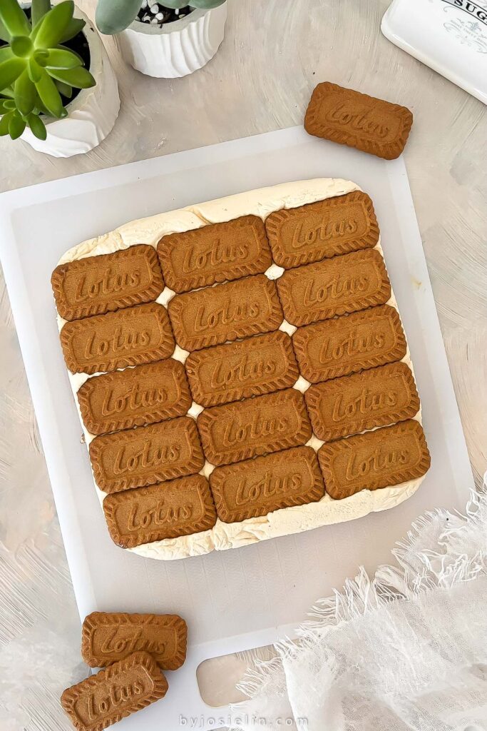 Caramel Biscoff Ice Cream Sandwiches