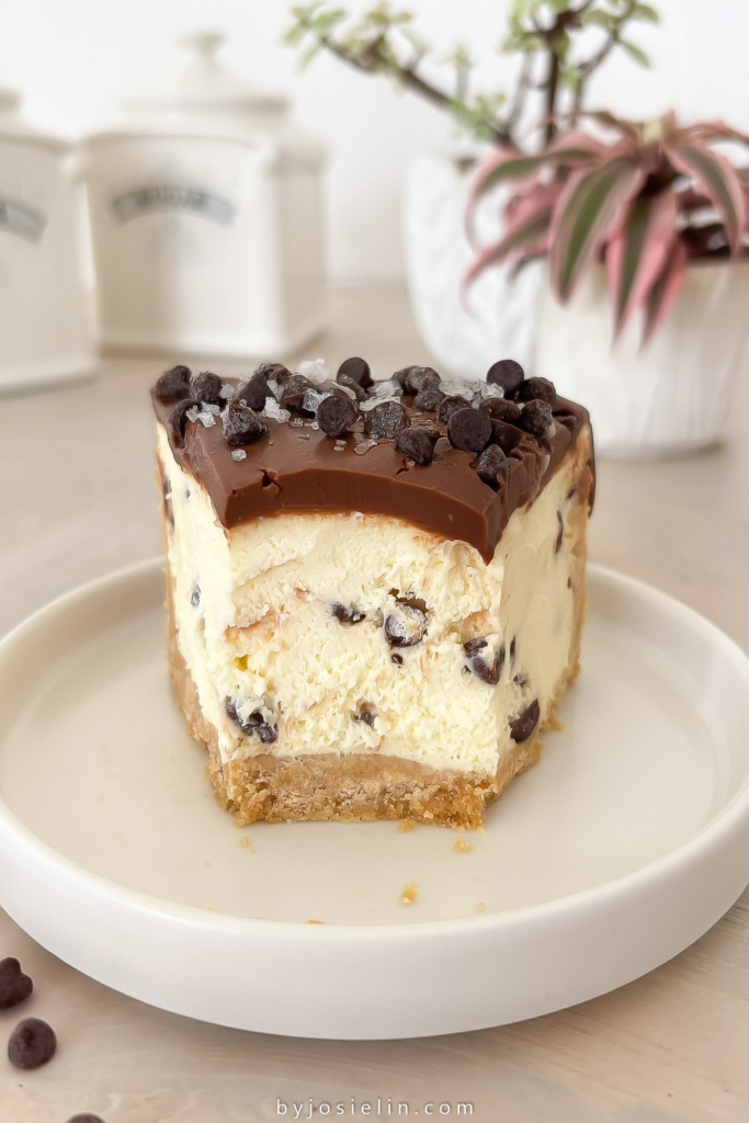 chocolate chip cheesecake